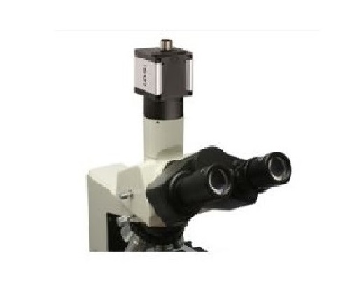 F-009 顯微鏡應用相機